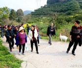 大分4號柑橘種植技術(shù)_陽(yáng)光1號柑橘幾月成熟