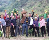 仁懷柑橘種植技術采購_有哪些不為人知又好吃的地方特產