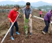 柑橘種植技術(shù)有聲書(shū)籍_幼樹(shù)6月可以追尿素嗎