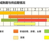 愛媛28號品種介紹_紅美人哪個(gè)品種最正宗