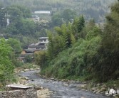 江山柑橘種植技術(shù)論文_三國(guó)中有哪些美食