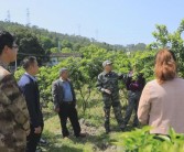 到村指導柑橘種植技術(shù)_源頭哪個鄉(xiāng)種柑橘比較多